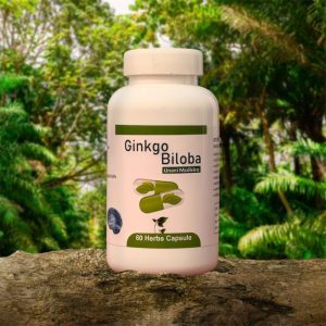 Ginkgo Biloba-1-Box